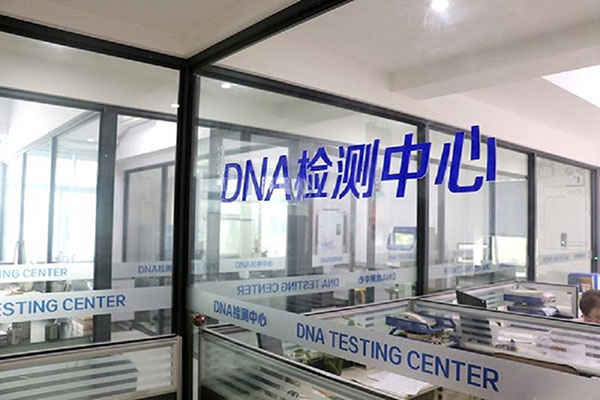 哈尔滨快速便捷的DNA亲子鉴定（了解现代科技如何帮你解决鉴定问题） 